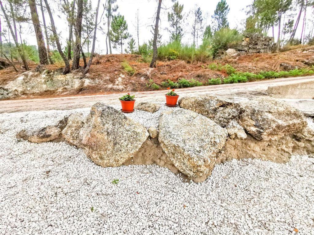 Вилла O Refugio Коимбра Экстерьер фото