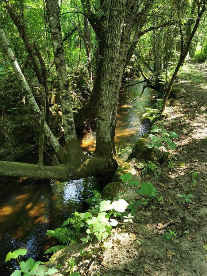 Вилла O Refugio Коимбра Экстерьер фото