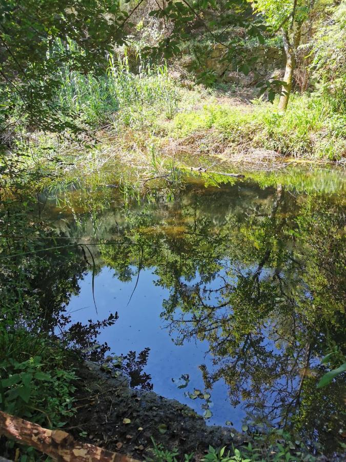 Вилла O Refugio Коимбра Экстерьер фото